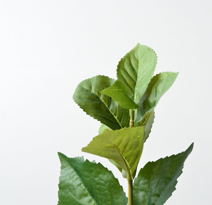 Hydrangea Leaf Spray